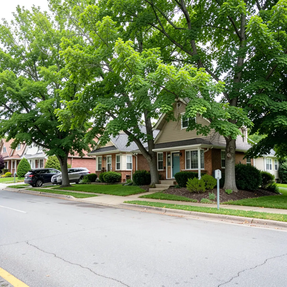 Columbine Valley sewer repair - neighborhood streetscape