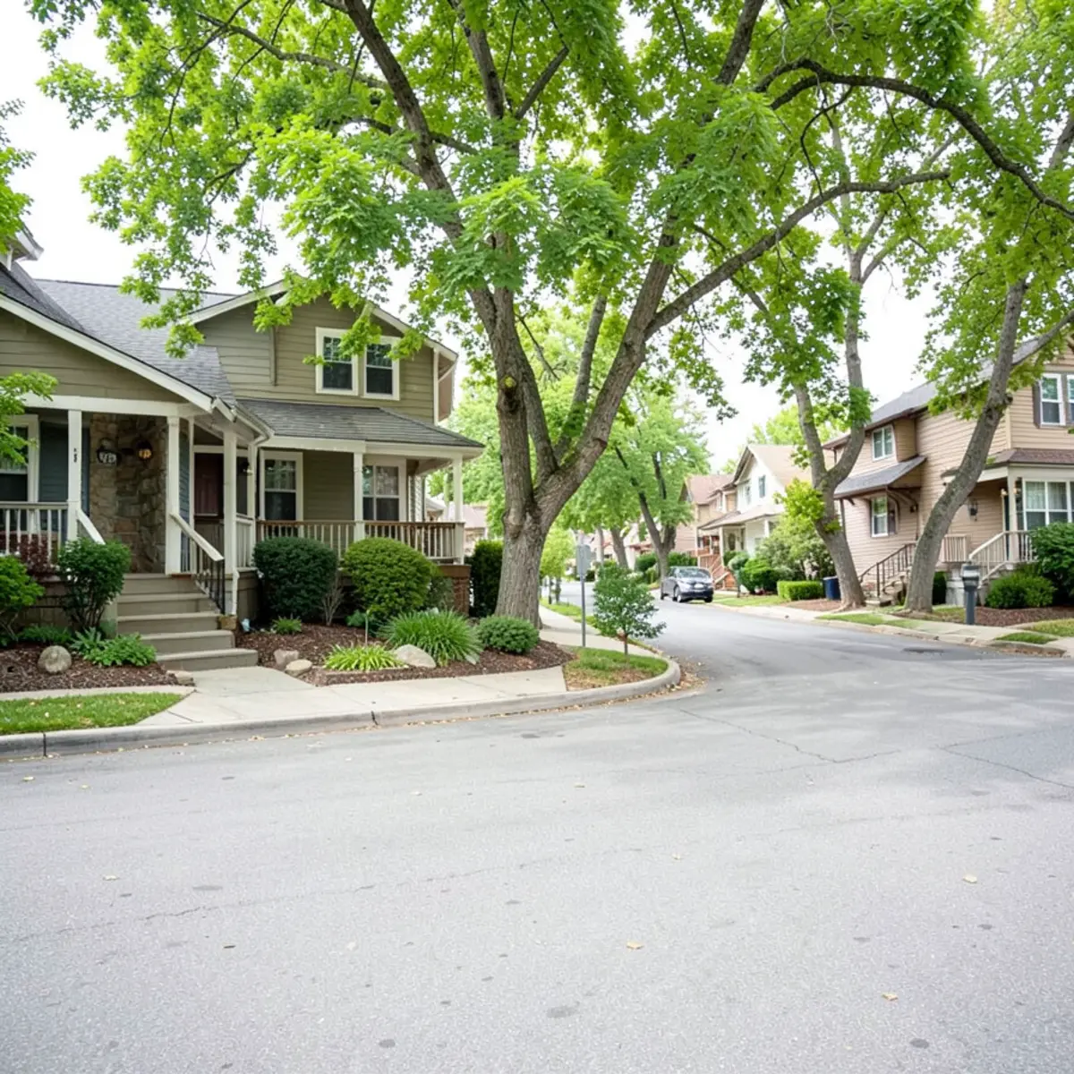 Edgewater sewer repair - neighborhood streetscape